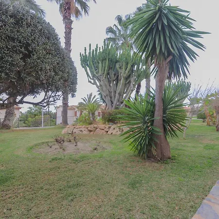 022 - Palmeras Iii - 001 - Comfortholidays Santa Pola
